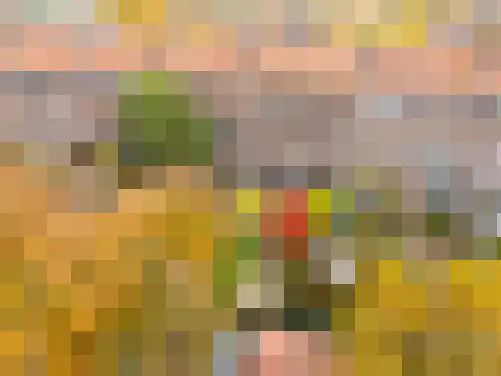 Praebsterkamp 13 Zutphen thumbnail 21