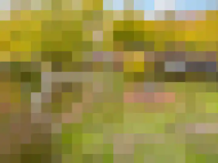 Praebsterkamp 13 Zutphen thumbnail 23