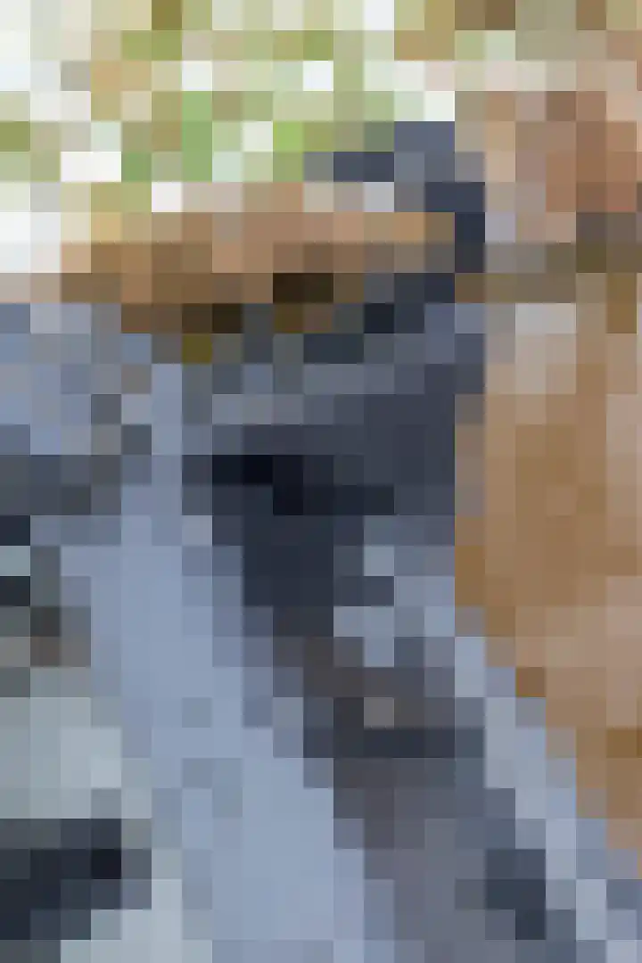 Praediniussingel 1004 Groningen thumbnail 31