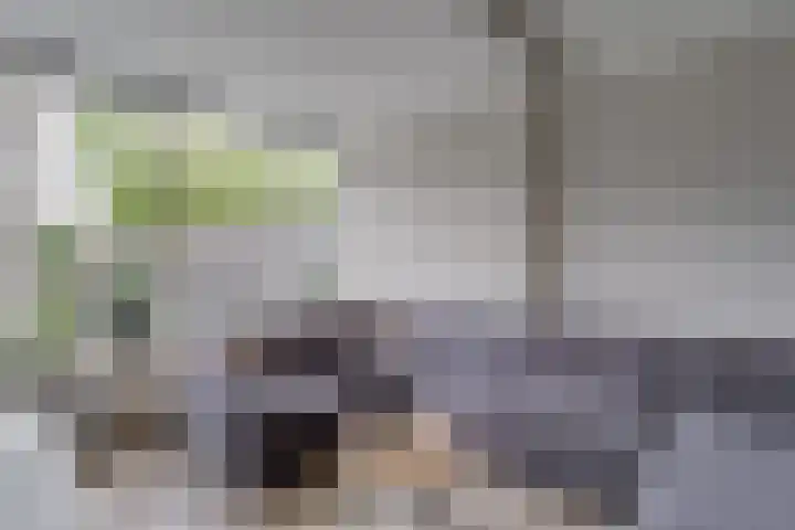 Prangelaar 44 Woudenberg thumbnail 12