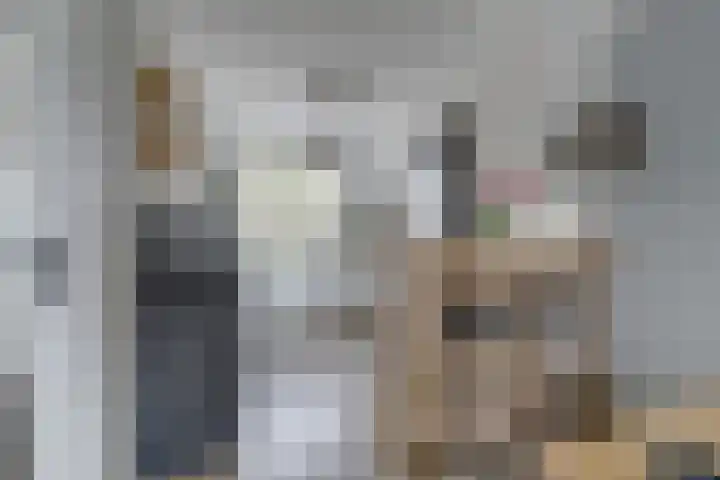 Prangelaar 44 Woudenberg thumbnail 17