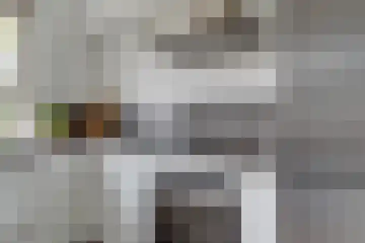 Prangelaar 44 Woudenberg thumbnail 19