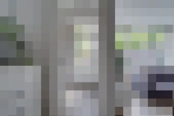 Prangelaar 44 Woudenberg thumbnail 23