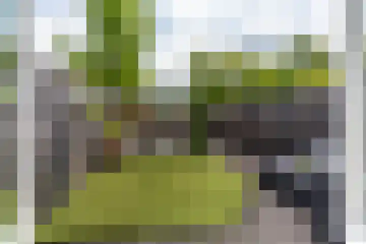 Prangelaar 44 Woudenberg thumbnail 24