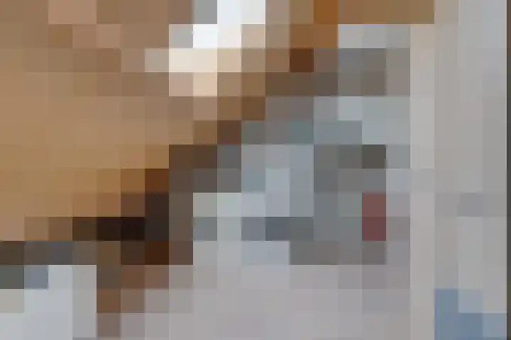 Prangelaar 44 Woudenberg thumbnail 38