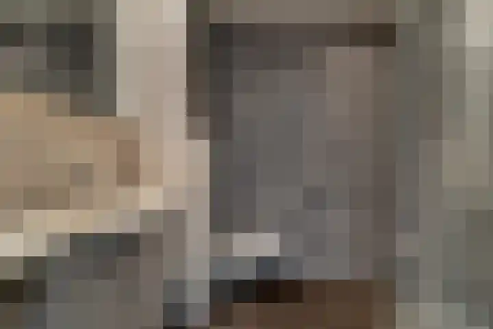 Prangelaar 44 Woudenberg thumbnail 4
