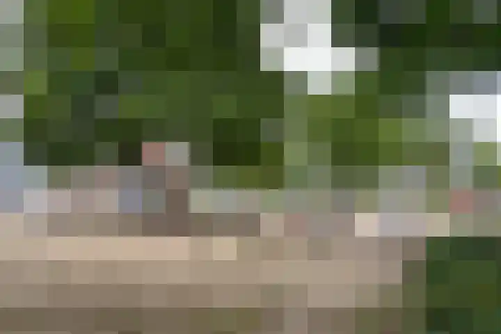 Prangelaar 44 Woudenberg thumbnail 42
