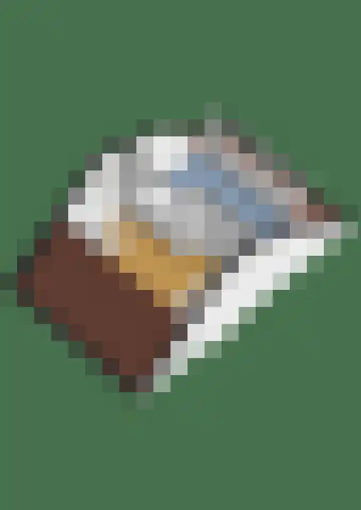 Prangelaar 44 Woudenberg thumbnail 53
