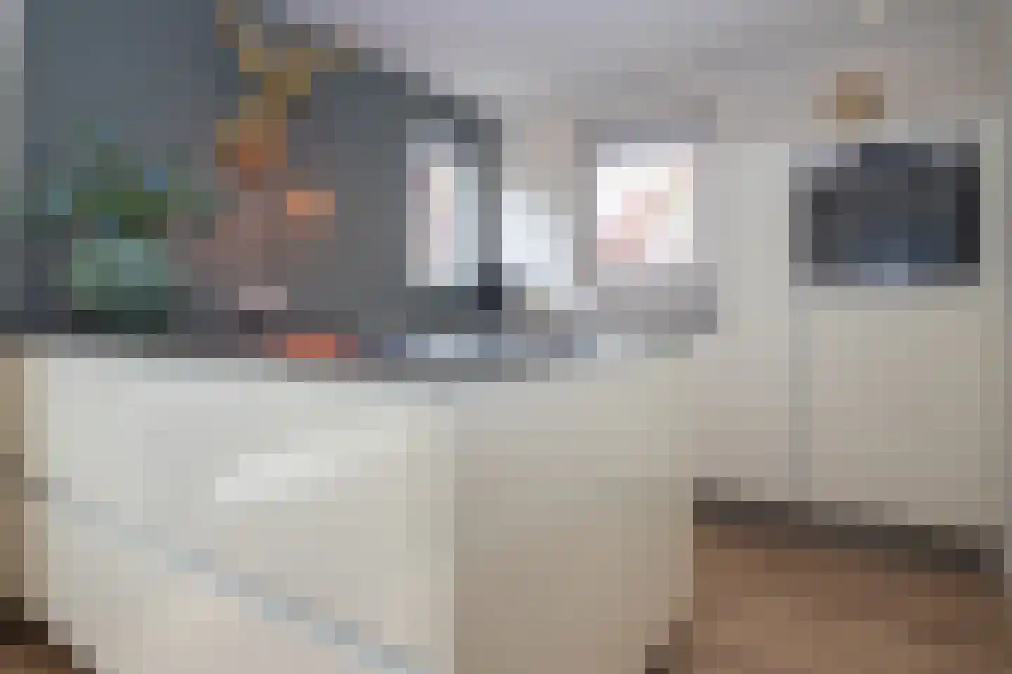 Prangelaar 57 Woudenberg thumbnail 8