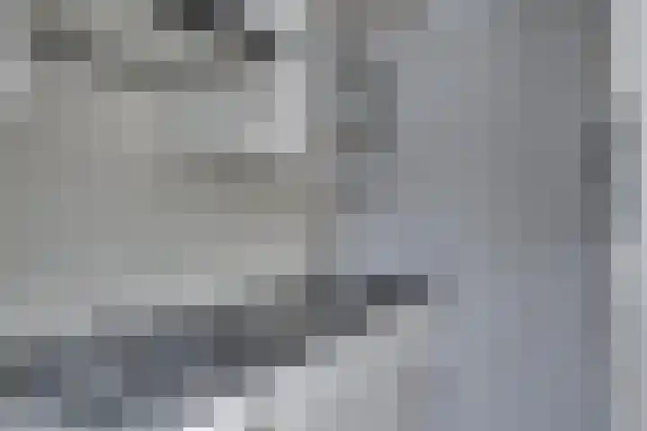 Prasem 3 Venlo thumbnail 13