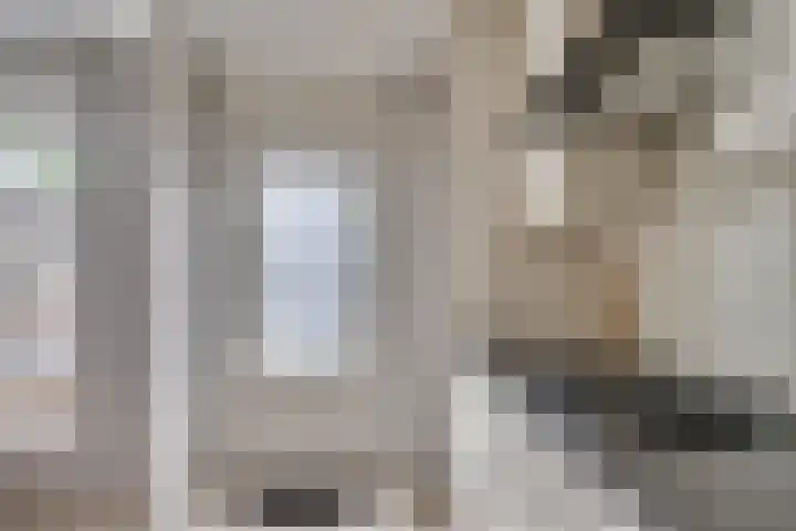 Prasem 3 Venlo thumbnail 14