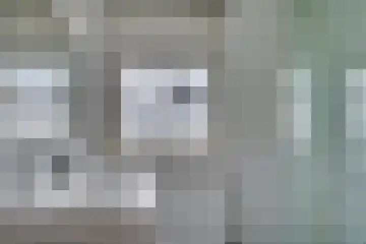 Prasem 3 Venlo thumbnail 27