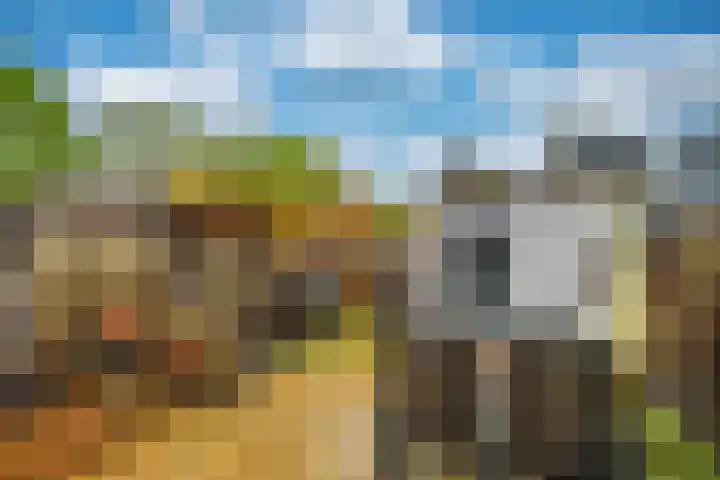 Prasem 3 Venlo thumbnail 32