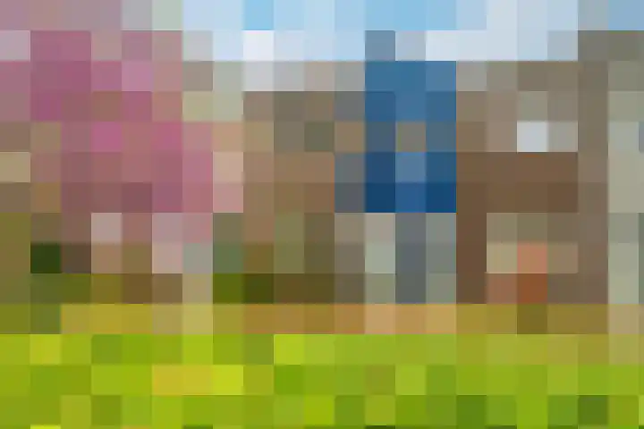 Prasem 3 Venlo thumbnail 39