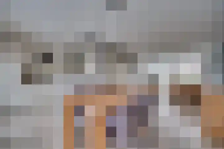 Prasem 3 Venlo thumbnail 4