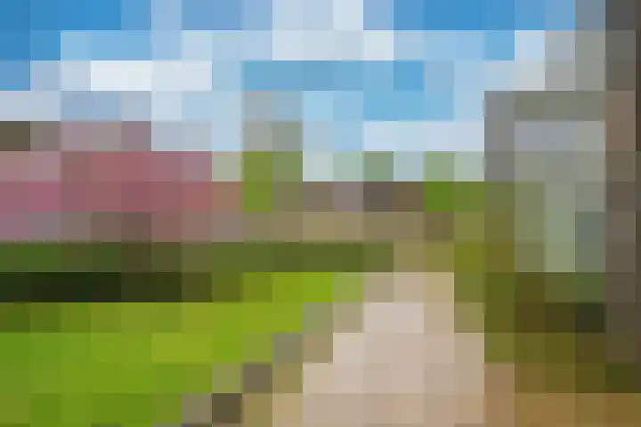 Prasem 3 Venlo thumbnail 40