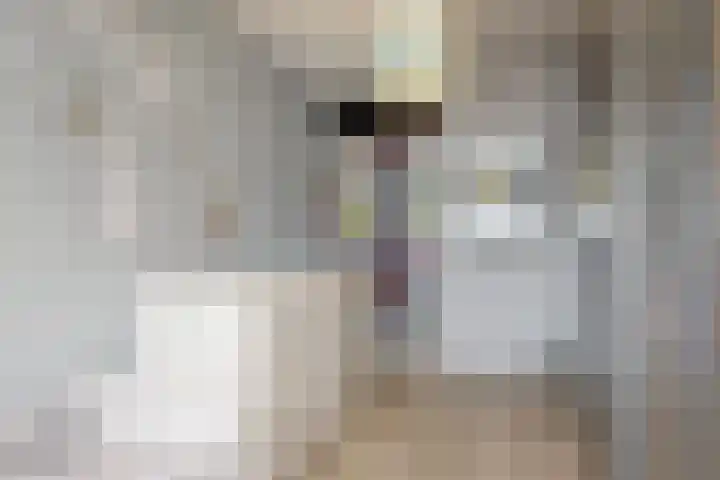Praterlaan 122 Amsterdam thumbnail 23