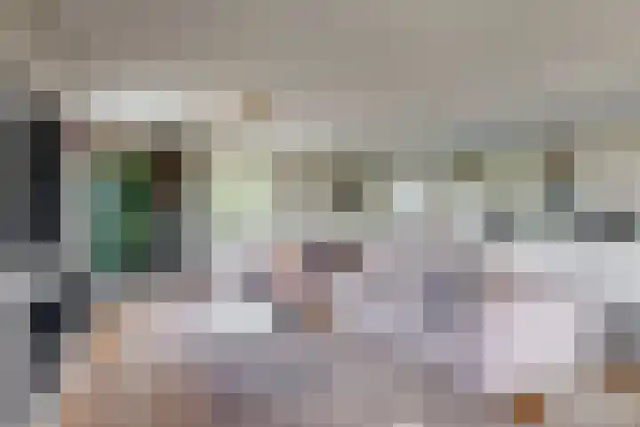 Praterlaan 122 Amsterdam thumbnail 9