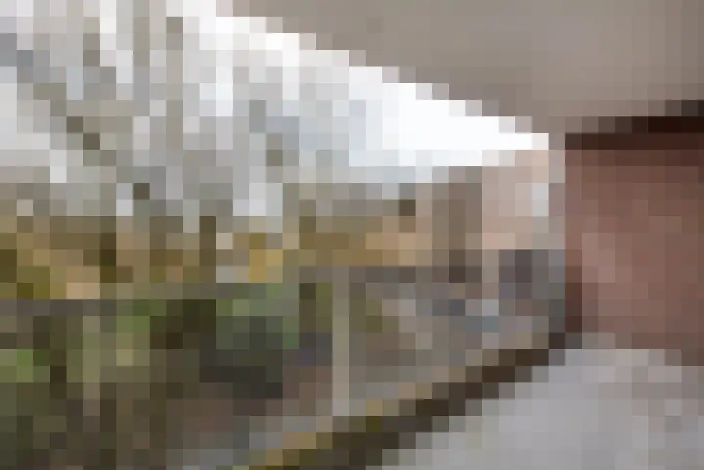 Prattenburg 137 Haarlem thumbnail 20