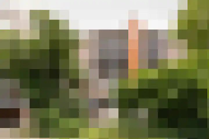 Prattenburg 181 Haarlem thumbnail 22