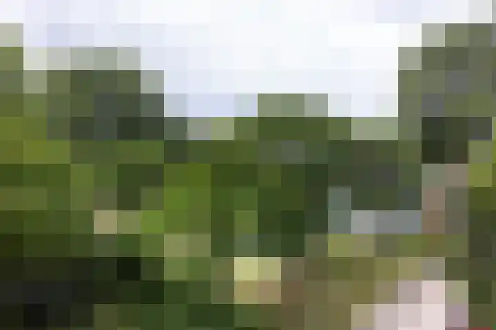 Prattenburg 181 Haarlem thumbnail 28