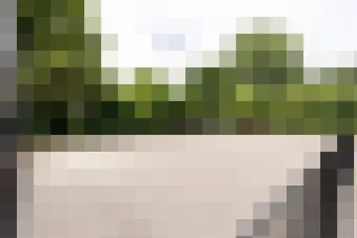Prattenburg 181 Haarlem thumbnail 29