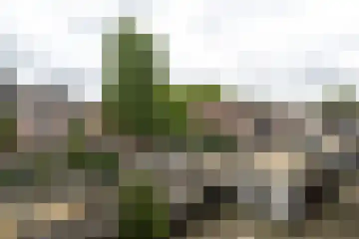 Prattenburg 323 Haarlem thumbnail 17