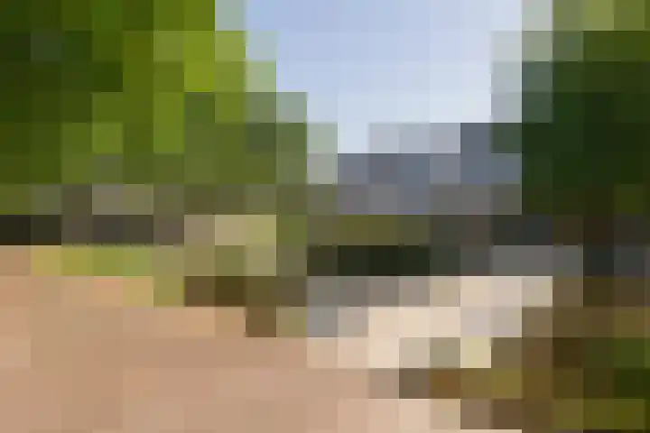 Prattenburg 323 Haarlem thumbnail 20