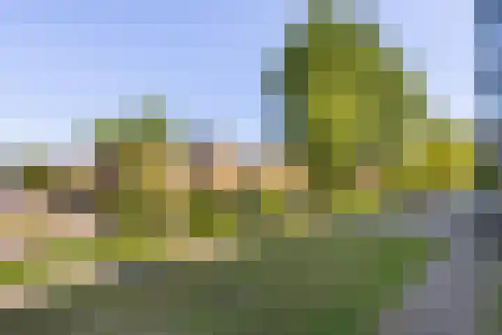 Prattenburg 373 Haarlem thumbnail 21