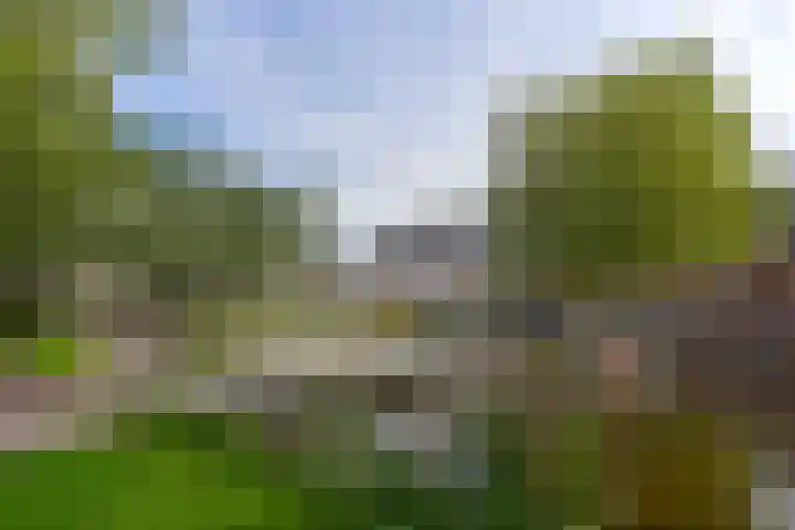 Prattenburg 373 Haarlem thumbnail 22