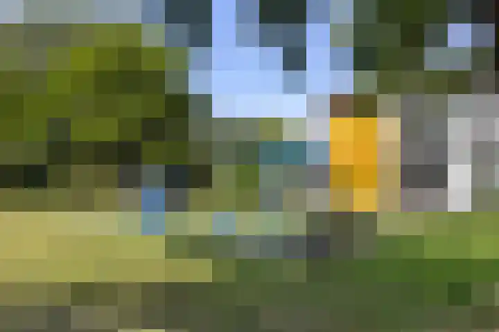 Prattenburg 373 Haarlem thumbnail 25