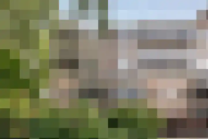 Prattenburg 391 Haarlem thumbnail 16