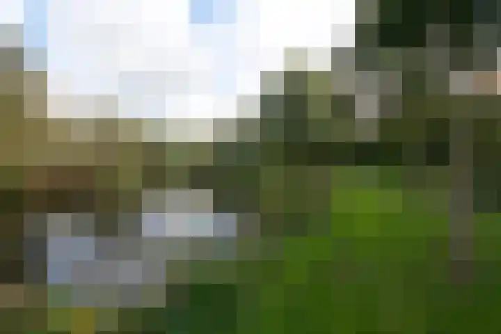 Prattenburg 391 Haarlem thumbnail 17