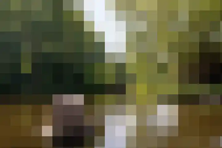 Prattenburg 391 Haarlem thumbnail 19