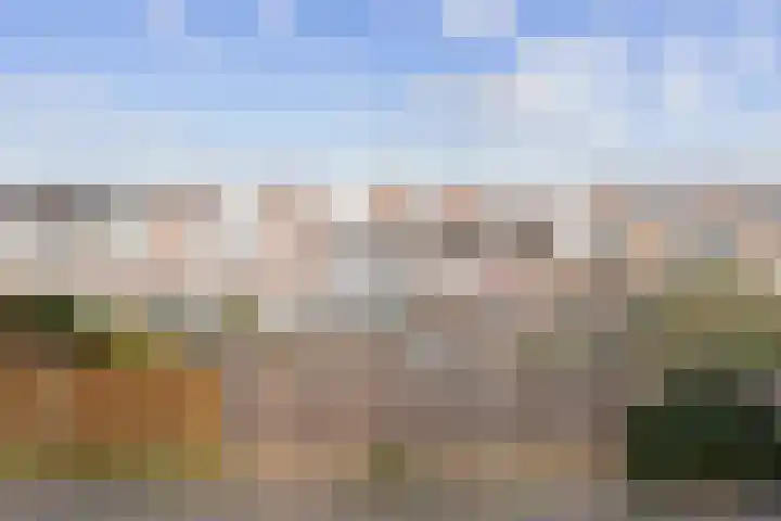 Prattenburg 40 Haarlem thumbnail 25