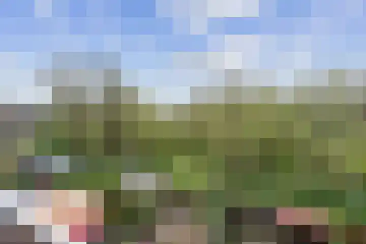 Prattenburg 40 Haarlem thumbnail 5