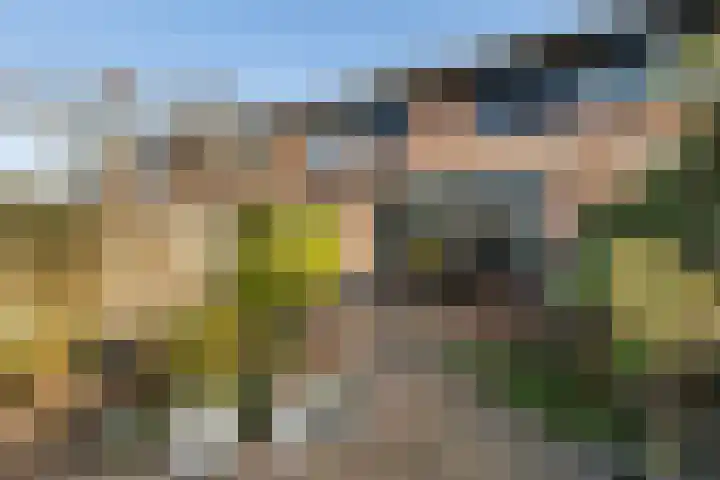 Prattenburg 86 Dordrecht thumbnail 33