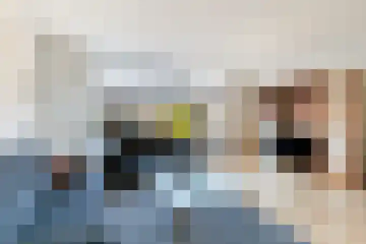 Prattenburg 86 Dordrecht thumbnail 9