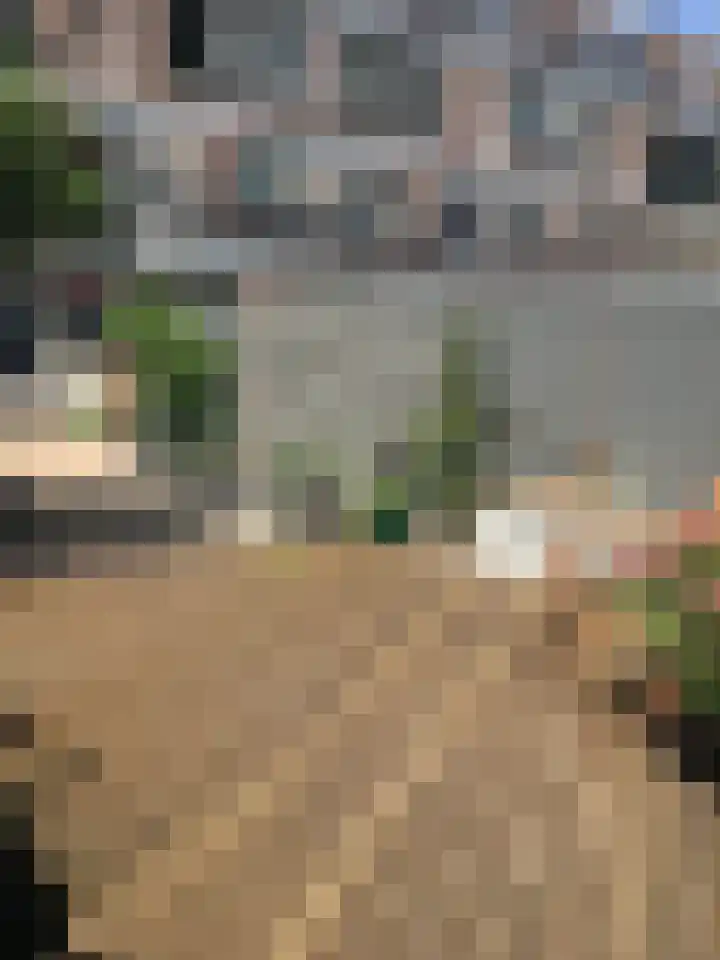 Prattenburg 86 Haarlem thumbnail 25