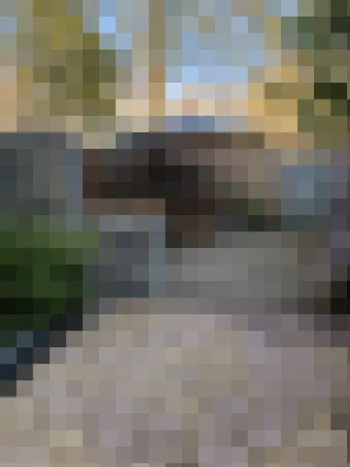 Prattenburg 86 Haarlem thumbnail 27