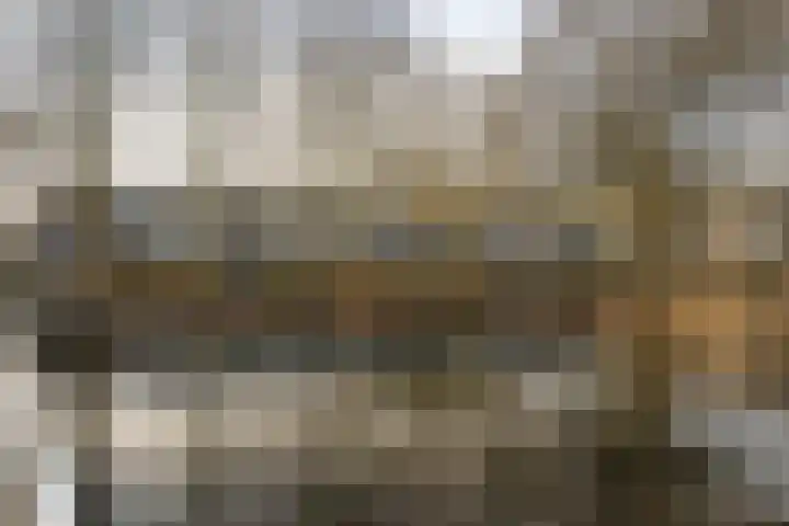 Prattenburg 86 Haarlem thumbnail 32