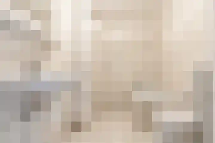 Predikherenlaan 12 Tilburg thumbnail 10