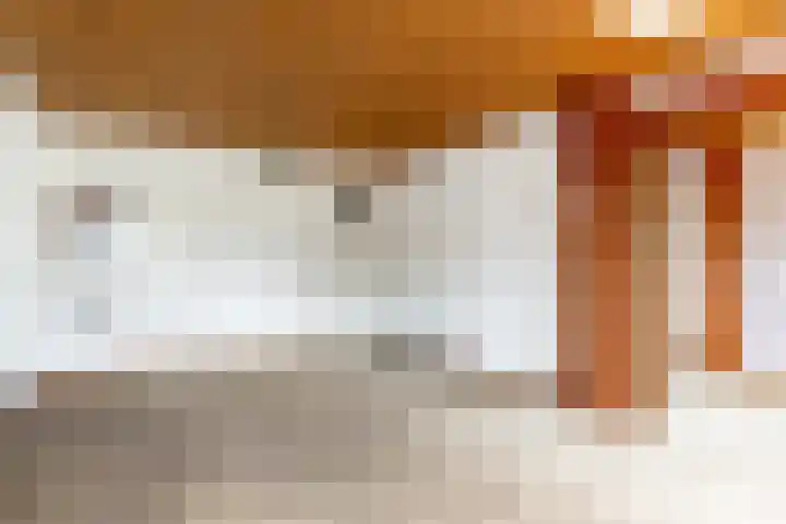 Predikherenlaan 12 Tilburg thumbnail 11