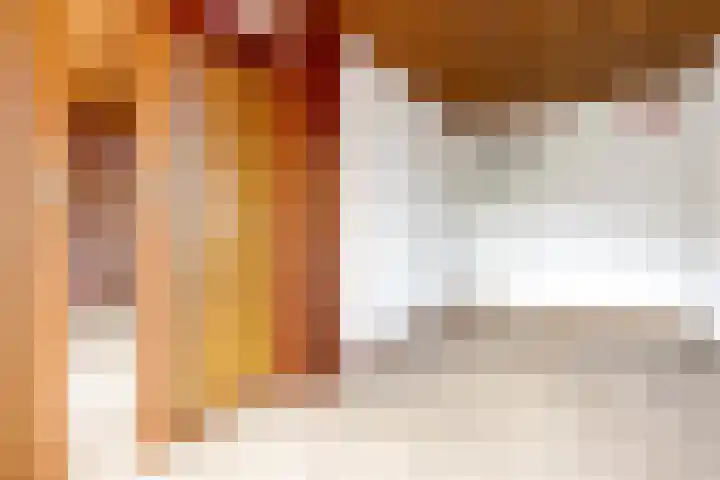 Predikherenlaan 12 Tilburg thumbnail 14