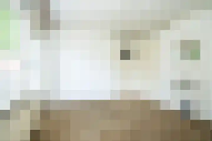 Predikherenlaan 12 Tilburg thumbnail 17