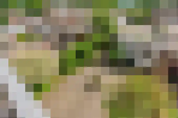 Predikherenlaan 12 Tilburg thumbnail 19
