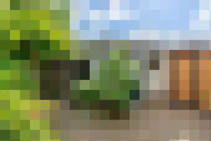 Predikherenlaan 12 Tilburg thumbnail 20