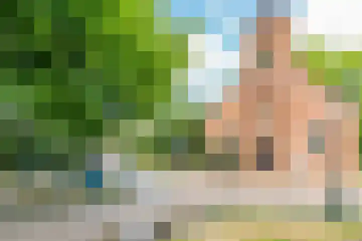 Predikherenlaan 12 Tilburg thumbnail 28