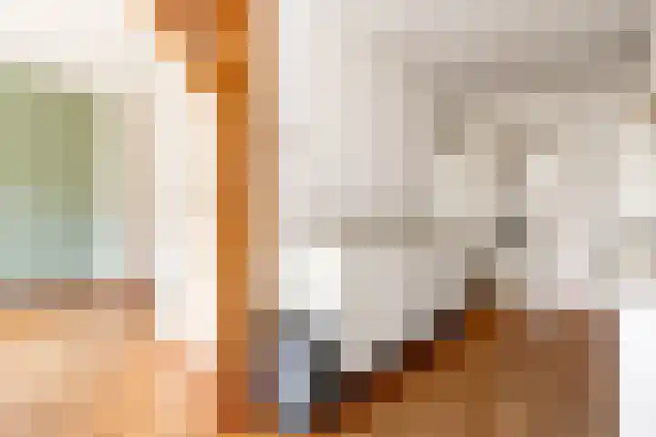 Predikherenlaan 12 Tilburg thumbnail 7