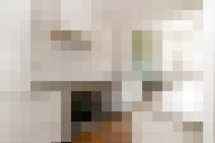 Predikherenlaan 12 Tilburg thumbnail 8